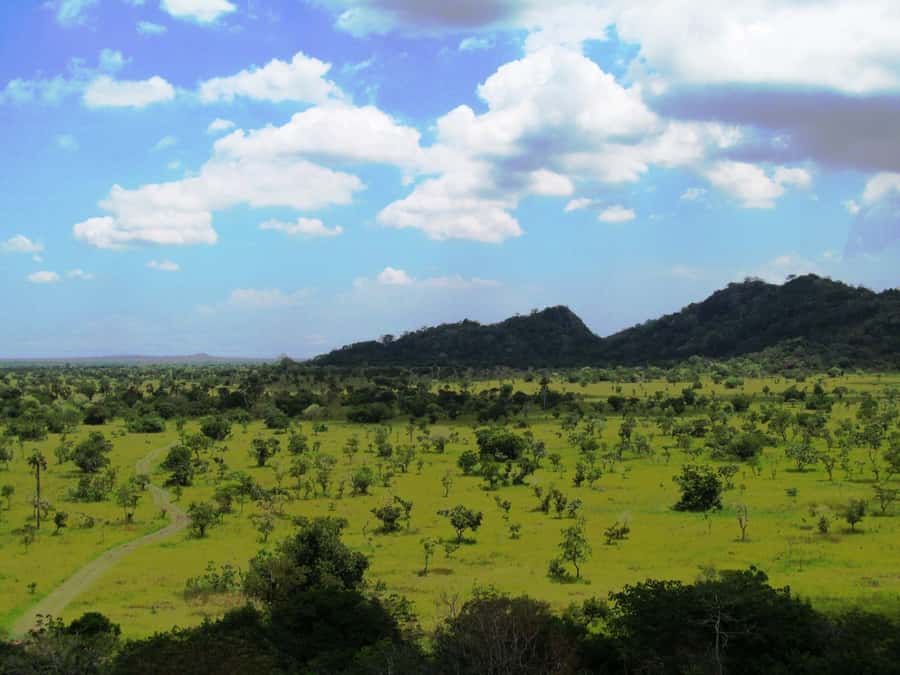 Discover Nature at Shai Hills - Adventure Full Day Trip - Coconut Beach to Shai Hills: how the day actually moves