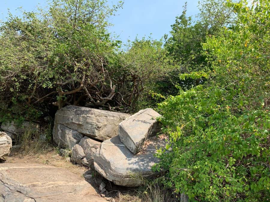 Discover Nature at Shai Hills - Adventure Full Day Trip - Shai Hills Resource Reserve: your best shot at zebra, baboon, and birds