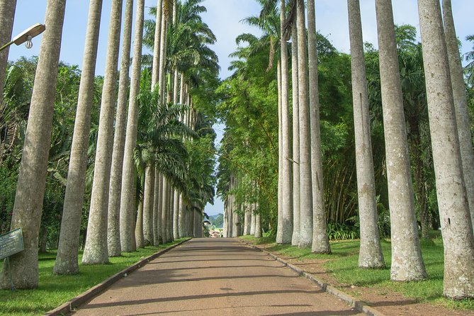 Escape Accra City to Aburi Gardens and Tetteh Quarshie Cocoa Farms - Key points to know before you go