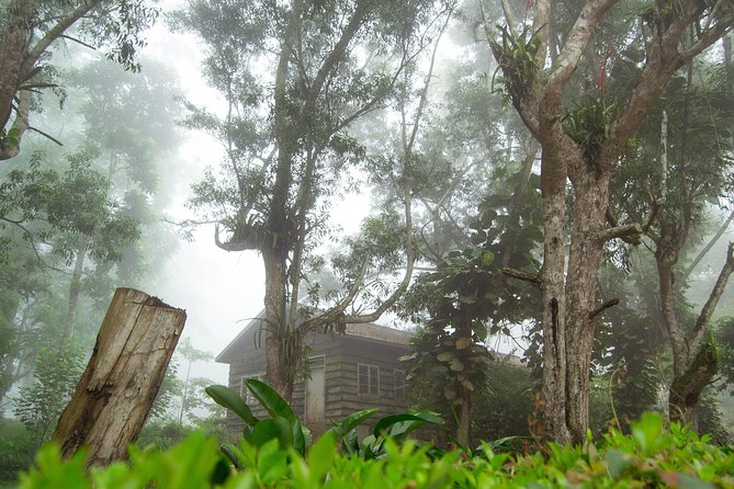 Escape Accra City to Aburi Gardens and Tetteh Quarshie Cocoa Farms - Stop 3: Aburi Crafts Village for souvenirs that do not eat the whole day