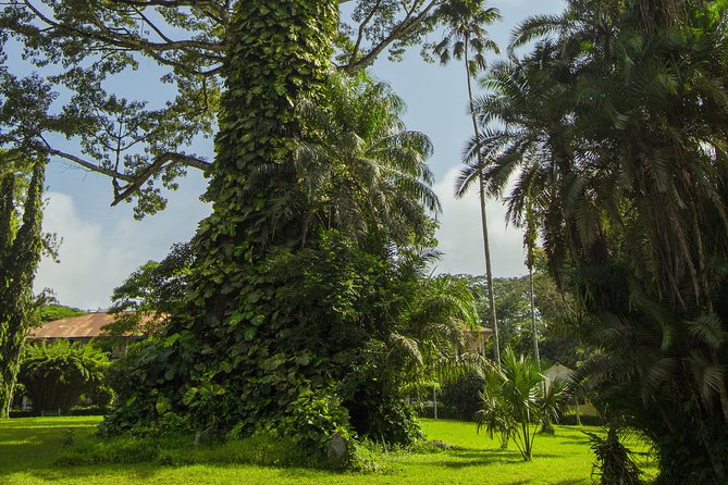 Escape Accra City to Aburi Gardens and Tetteh Quarshie Cocoa Farms - What the guides can change, from Edna to Frederick