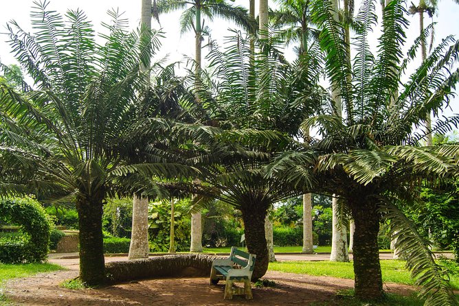 Escape Accra City to Aburi Gardens and Tetteh Quarshie Cocoa Farms - How to plan your day: half-day pacing, heat, and photo time