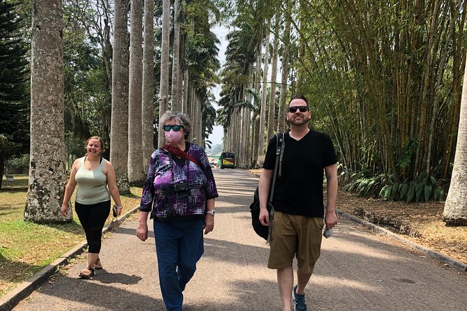 Experience Boti Waterfalls, Aburi Botanical Gardens & Tetteh Quarshie Cocoa Farm - Aburi Botanical Gardens: medicinal plants and a carved-life story