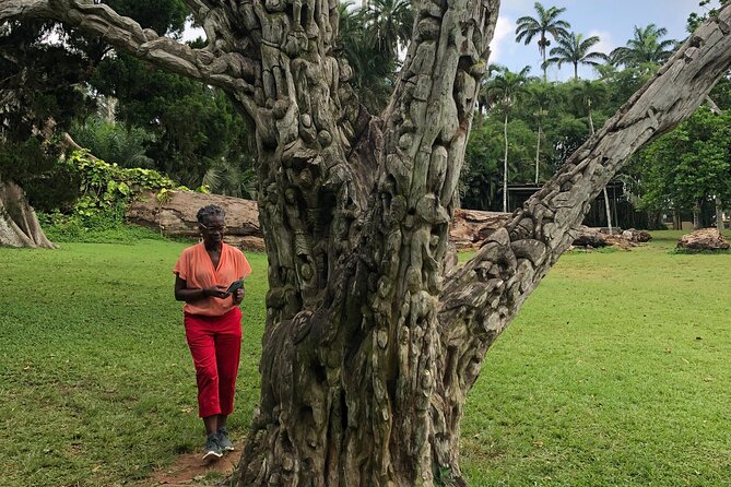 Experience Boti Waterfalls, Aburi Botanical Gardens & Tetteh Quarshie Cocoa Farm - Price and value: what $175 actually buys