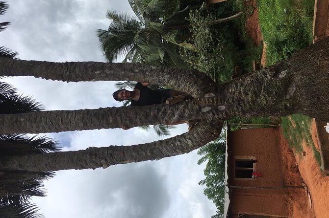Experience Boti Waterfalls, Aburi Botanical Gardens & Tetteh Quarshie Cocoa Farm - Who should book this tour (and who should consider another option)