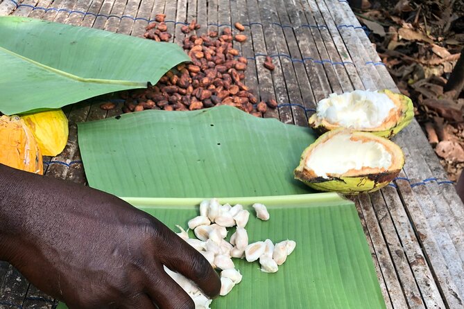 Experience Boti Waterfalls, Aburi Botanical Gardens & Tetteh Quarshie Cocoa Farm - Tetteh Quarshie: first cocoa farm site and a cocoa taste moment