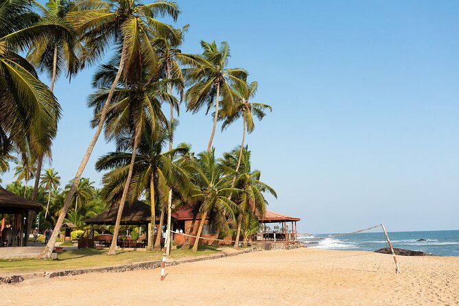 Experience Cape Coast Castle and Kakum National Park - Key highlights you’ll actually care about