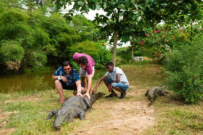 Experience Cape Coast Castle and Kakum National Park - One-day route from Accra, Kakum, Cape Coast, and Elmina