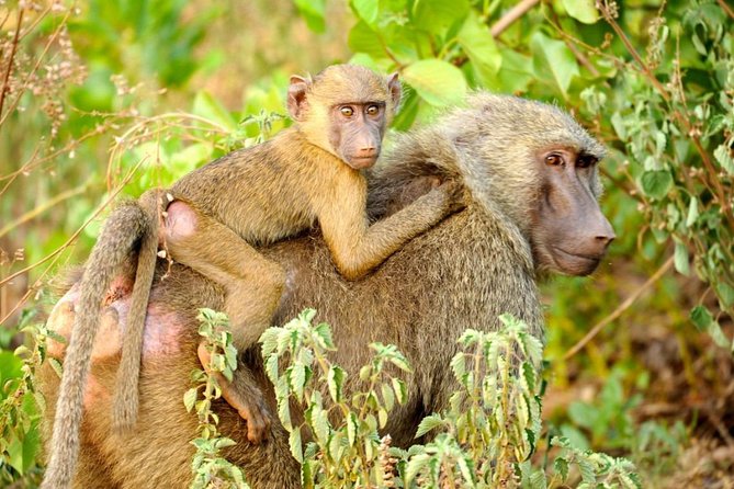 Experience Northern Ghana In 10-Days - Northern Ghana in 10 days, what makes this route different