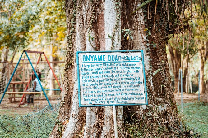 Explore Aburi Botanical Gardens And Boti Falls - Price and value: What $250 per person actually covers