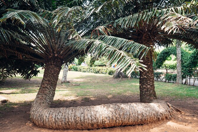 Explore Aburi Botanical Gardens And Boti Falls - How private touring changes your day in Ghana