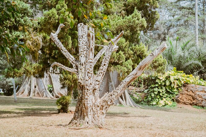 Explore Aburi Botanical Gardens And Boti Falls - Who should book this tour (and who should skip it)