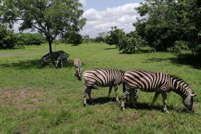 Full-Day Accra Safari and Boat Cruise Private Tour - The rock climb choice: how flexible “adventure” actually feels