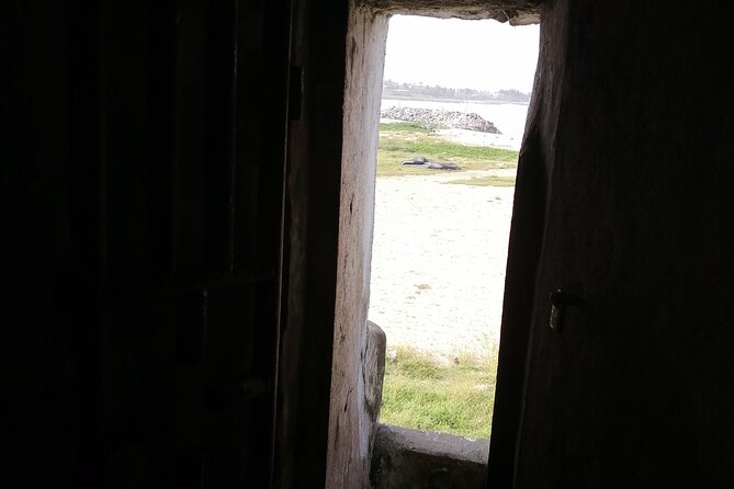Full- Day Cape Coast Castles and Kakum Canopy Private Tour - Elmina Castle, dungeons, and a second Door of No Return