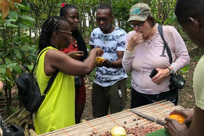 Ghana Eastern Explorer - Boti Falls, Aburi Gardens & Tetther Quarshie Cocoa Farm - Key things to know before you go