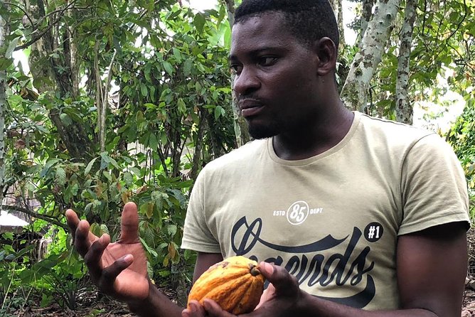 Ghana Eastern Explorer - Boti Falls, Aburi Gardens & Tetther Quarshie Cocoa Farm - Value Check: Is $190 Per Person Fair?