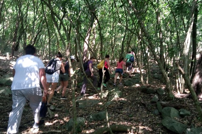 Half-day Accra Safari Tour - Why this safari works when you are short on time
