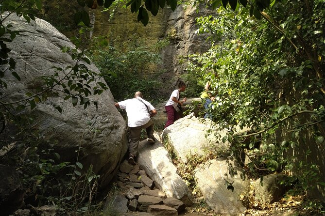Half-day Accra Safari Tour - Time on the ground: making sense of a short park visit