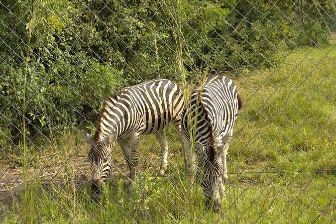 Half-day Accra Safari Tour - What to pack (so the half-day feels easy)