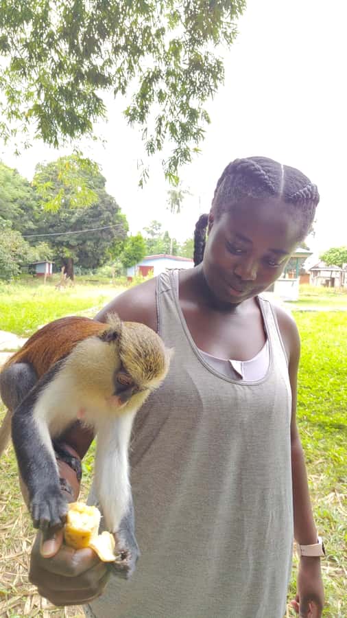Hike Mount Afadjato and Visit Wli Falls and Monkey Sanctuary - Food, water, and breaks that keep your day from crashing