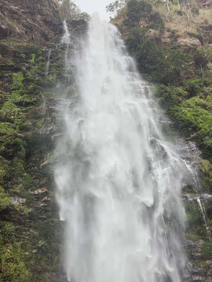 Hike Mount Afadjato and Visit Wli Falls and Monkey Sanctuary - Who this tour suits best, and who should think twice
