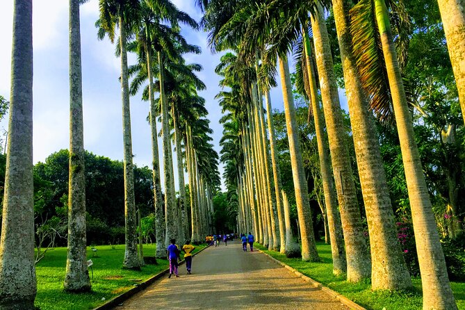 Nature Thrills - Key Points to Know Before You Go