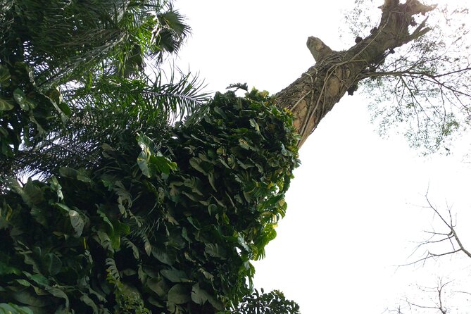 Nature Thrills - Hotel Pickup, Duration, and a Day That Moves at Human Speed