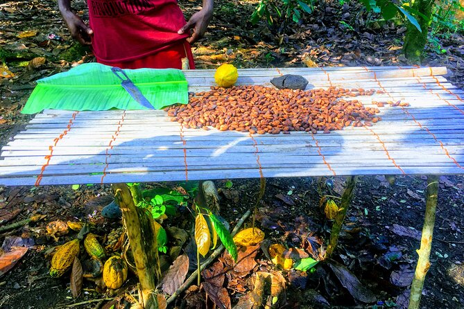 Nature Thrills - Price and Value: Is $150 Fair for Gardens, Cocoa, and Waterfalls?