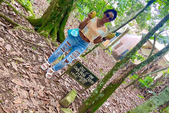 Private Aburi Hill Guided Tour - Stop 4: Aburi Crafts Village for Ghana culture shopping in a short window