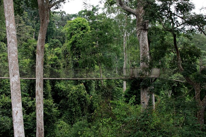 Private Multi-Day Ghana Tour about Culture History and Wildlife - 7 Days - Price and Value: Why This Tour Costs What It Costs