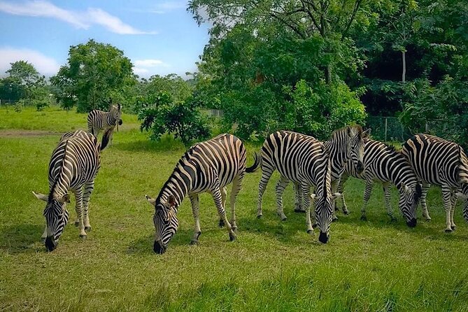 Shai Hills Half Day Accra Safari, Hike & see Animals - Key highlights worth aiming for