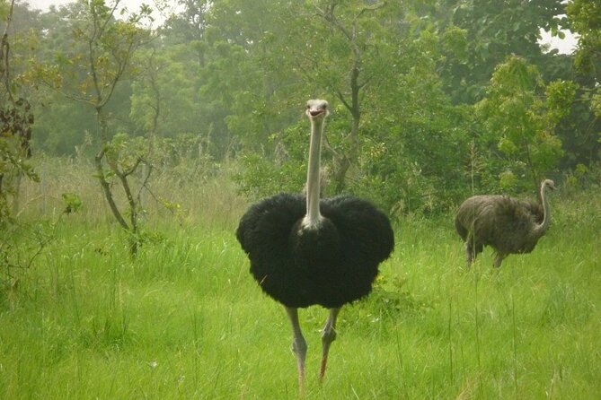 Shai Hills Half Day Accra Safari, Hike & see Animals - Entering Shai Hills Resource Reserve, the easy win near Accra