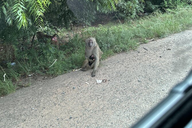 Shai Hills Safari - Hike & See Animals - Guide quality and photo help, especially with Enoch