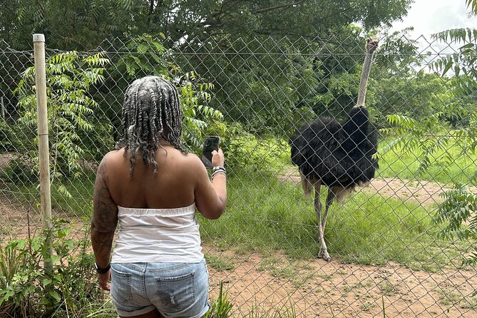 Shai Hills Safari - Hike & See Animals - Price and what you’re really paying for