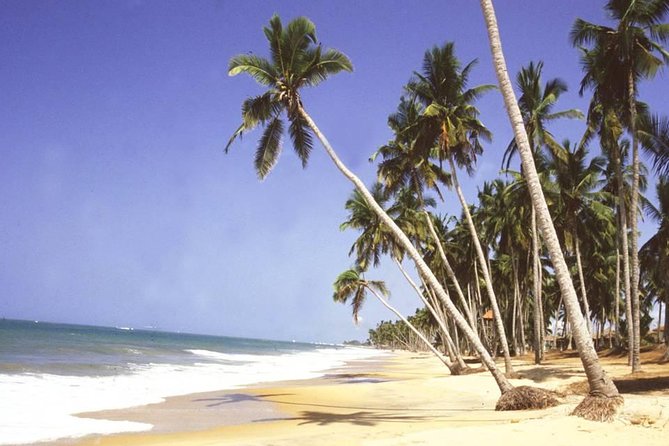 The Best Of Cape Coast Tour - What you really pay for at $242.31 per person