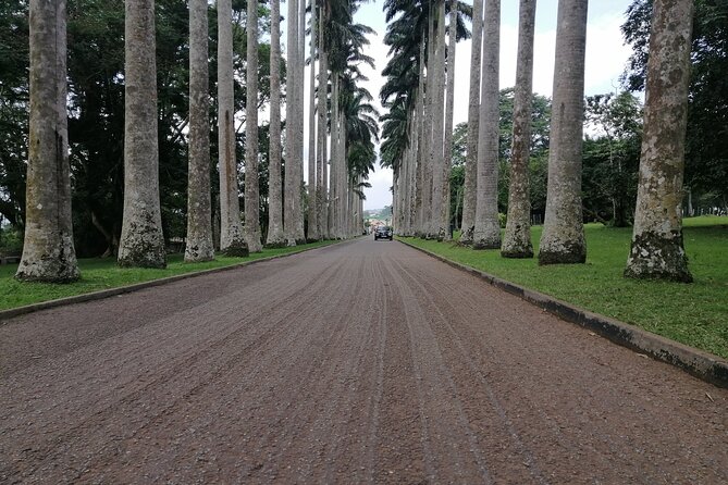 The Botanical Gardens and Water Falls Experience - Private Tour - Private nature day outside Accra, in plain terms