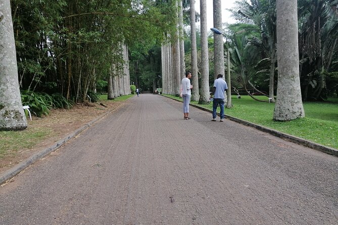 The Botanical Gardens and Water Falls Experience - Private Tour - What’s included, and how to pack for a comfortable day