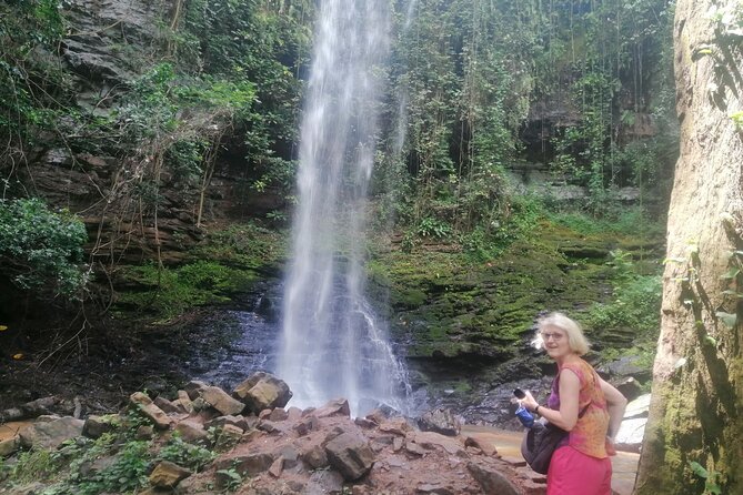 The Botanical Gardens and Water Falls Experience - Private Tour - Price and value: is $222.15 per person a fair deal?