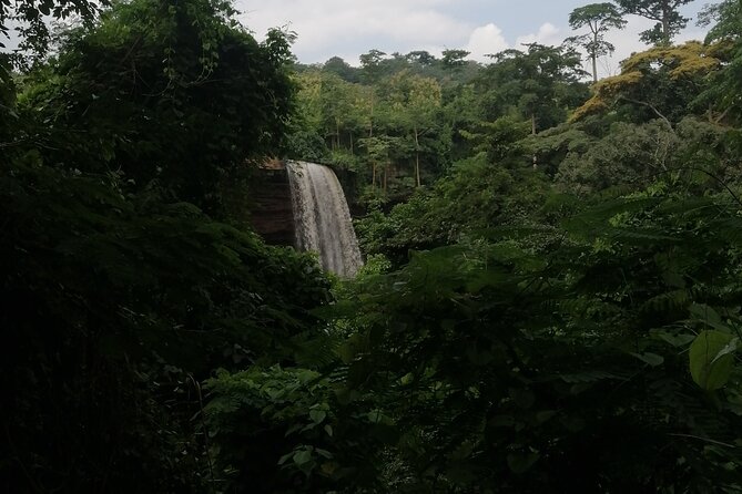 The Botanical Gardens and Water Falls Experience - Private Tour - Getting to Aburi and the waterfalls with A/C comfort